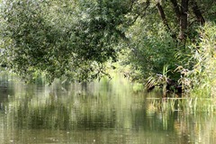 Killikus&reg; Fotographie